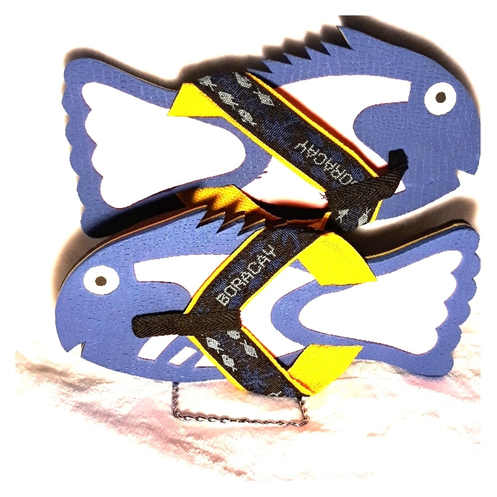 Nostalgic Flip Flops